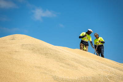 January 2023 / RUDALL_230105_049_WebRes