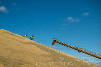 January 2023 / RUDALL_230105_062_WebRes