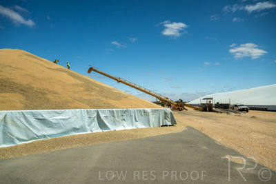 January 2023 / RUDALL_230105_064_WebRes