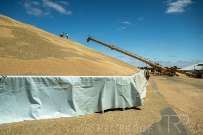 January 2023 / RUDALL_230105_066_WebRes