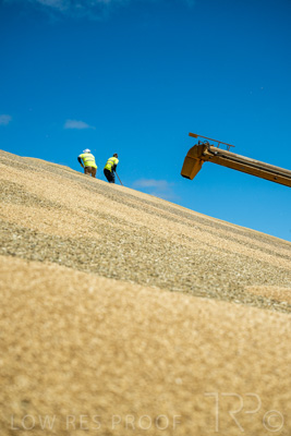 January 2023 / RUDALL_230105_078_WebRes