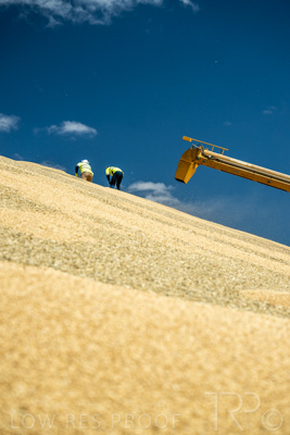 January 2023 / RUDALL_230105_079_WebRes