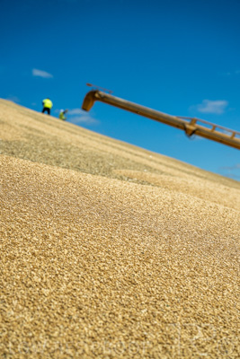 January 2023 / RUDALL_230105_082_WebRes