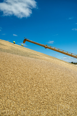 January 2023 / RUDALL_230105_083_WebRes