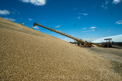 January 2023 / RUDALL_230105_087_WebRes