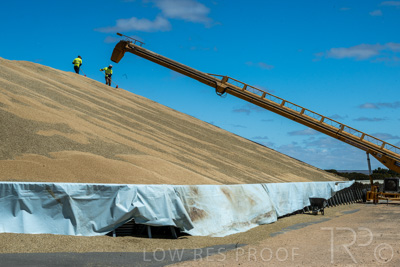 January 2023 / RUDALL_230105_090_WebRes