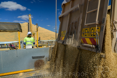 January 2023 / RUDALL_230105_206_WebRes