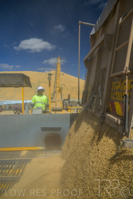 January 2023 / RUDALL_230105_208_WebRes