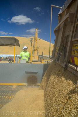 January 2023 / RUDALL_230105_209_WebRes