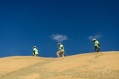 January 2023 / RUDALL_230105_242_WebRes