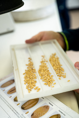 January 2023 / TUMBY-BAY_230105_150_WebRes