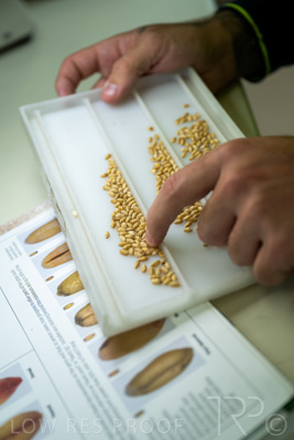 January 2023 / TUMBY-BAY_230105_153_WebRes