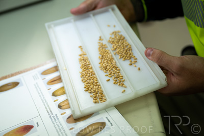 January 2023 / TUMBY-BAY_230105_155_WebRes