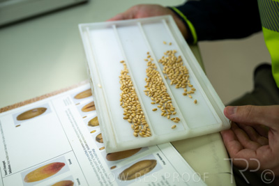 January 2023 / TUMBY-BAY_230105_156_WebRes