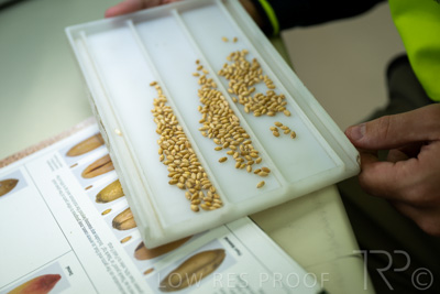 January 2023 / TUMBY-BAY_230105_158_WebRes