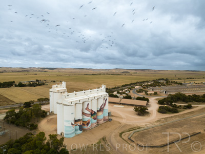 January 2023 / TUMBY-BAY_230105_176_WebRes