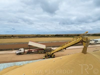 January 2023 / TUMBY-BAY_230105_183_WebRes