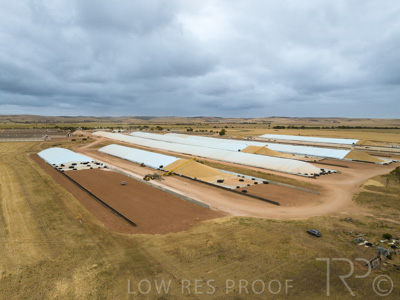 January 2023 / TUMBY-BAY_230105_186_WebRes