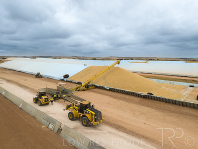 January 2023 / TUMBY-BAY_230105_189_WebRes