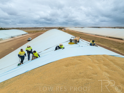 January 2023 / TUMBY-BAY_230105_215_WebRes