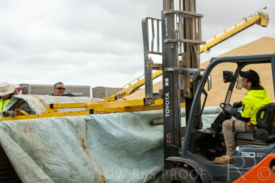 January 2023 / TUMBY-BAY_230105_247_WebRes