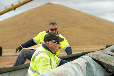 January 2023 / TUMBY-BAY_230105_251_WebRes