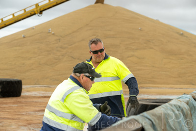 January 2023 / TUMBY-BAY_230105_259_WebRes