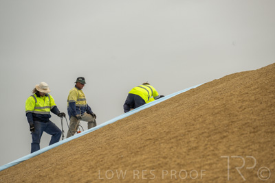 January 2023 / TUMBY-BAY_230105_324_WebRes