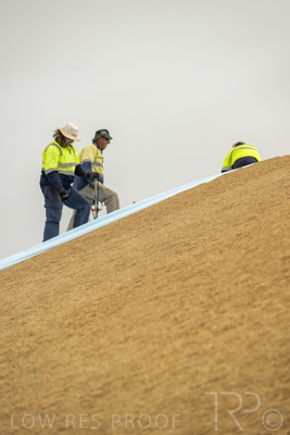 January 2023 / TUMBY-BAY_230105_332_WebRes