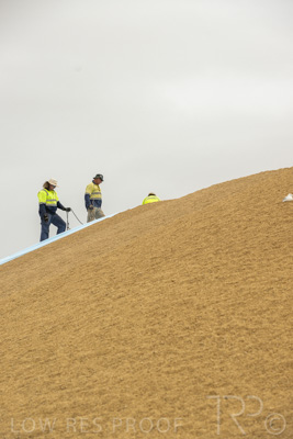 January 2023 / TUMBY-BAY_230105_335_WebRes