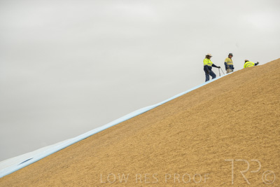 January 2023 / TUMBY-BAY_230105_336_WebRes