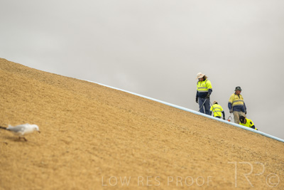 January 2023 / TUMBY-BAY_230105_349_WebRes