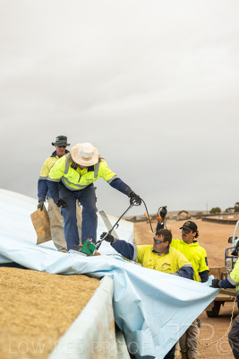 January 2023 / TUMBY-BAY_230105_401_WebRes