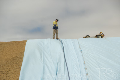 January 2023 / TUMBY-BAY_230105_425_WebRes