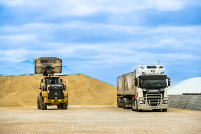 January 2023 / TAILEM-BEND_230118_004
