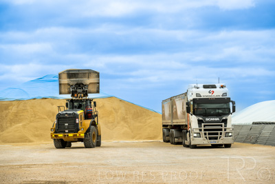 January 2023 / TAILEM-BEND_230118_005