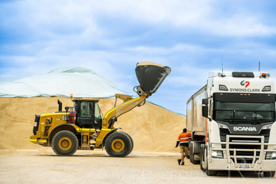 January 2023 / TAILEM-BEND_230118_019