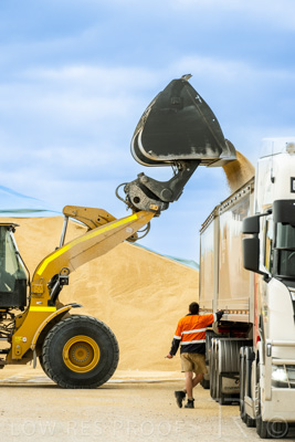 January 2023 / TAILEM-BEND_230118_024