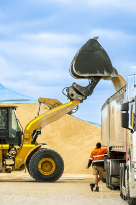 January 2023 / TAILEM-BEND_230118_025