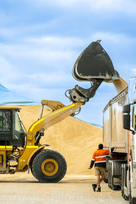 January 2023 / TAILEM-BEND_230118_026