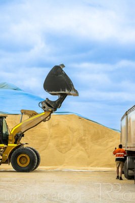 January 2023 / TAILEM-BEND_230118_030