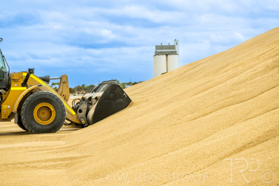 January 2023 / TAILEM-BEND_230118_033