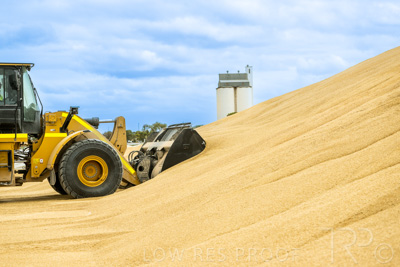 January 2023 / TAILEM-BEND_230118_035