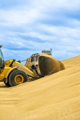 January 2023 / TAILEM-BEND_230118_039