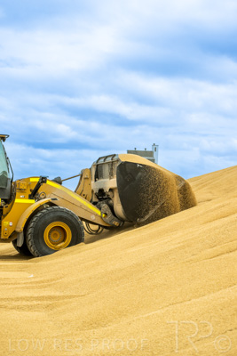 January 2023 / TAILEM-BEND_230118_040