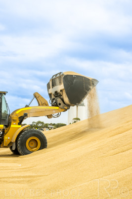 January 2023 / TAILEM-BEND_230118_041