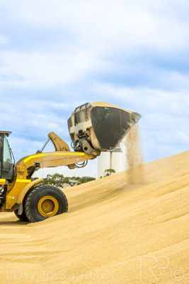 January 2023 / TAILEM-BEND_230118_042