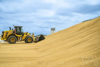 January 2023 / TAILEM-BEND_230118_049