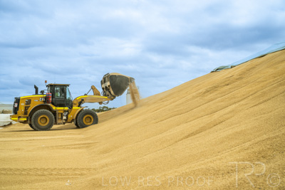 January 2023 / TAILEM-BEND_230118_053