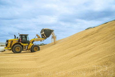 January 2023 / TAILEM-BEND_230118_054